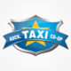 Auckland taxi Company branding