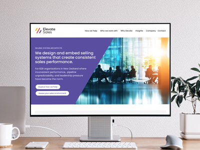 Website for B2B sales training expert