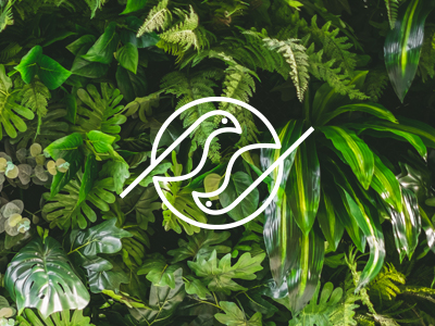 Website design for landscape design and build company