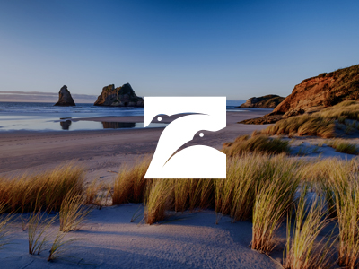 Brand development for NZ based supplement company